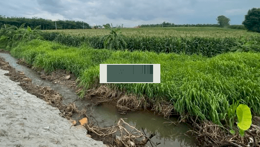 Hơn 300m mặt tiền đường nhựa - view suối - KDC