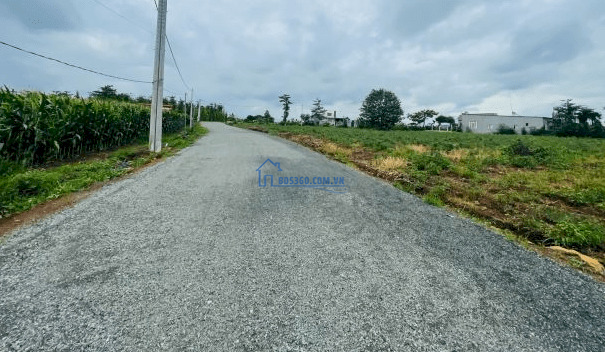 Hơn 300m mặt tiền đường nhựa - view suối - KDC