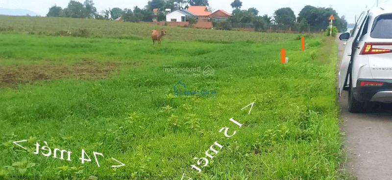 Bán đất nhà vườn - 15mx72m - Hồ Đá Bàng - Đá Bạc - Châu Đức - Bà Rịa Vũng Tàu