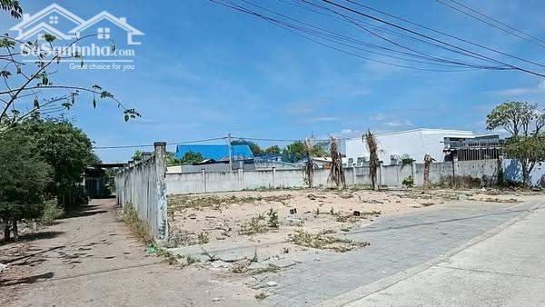 BÁN LỖ LÔ ĐẤT MẶT TIỀN ĐƯỜNG NHỰA XÃ PHƯỚC HỘI-LONG ĐẤT BRVT