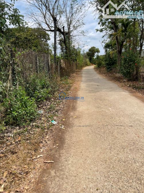 ĐẤT ĐƯỜNG BÊ TÔNG CÓ SẴN TIÊU ĐƯỜNG BÊ TÔNG NỞ HẬU GIÁ 52TR/M