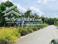 2 Mặt Tiền An Sơn 01 - An Sơn 05, Diện Tích 1.028M2 Có 300M2 Thổ Cư, Nơi Sống Đẳng Cấp.