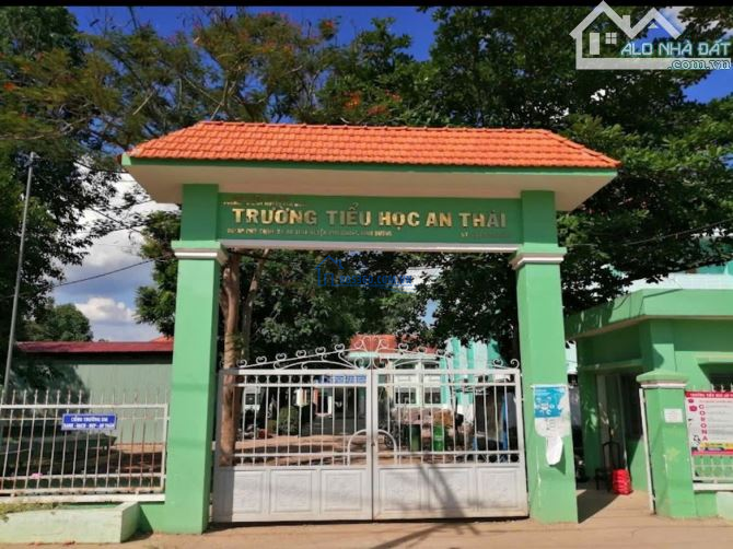 TUỔI ĐÃ CAO CẦN BÁN GẤP TRONG THÁNG