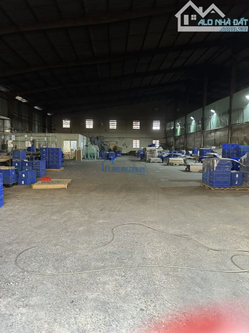 Cho thuê kho xưởng 1200m2 có pccc vách tưởng ở phường Bình Nhâm TP Thuận An, Bình Dương