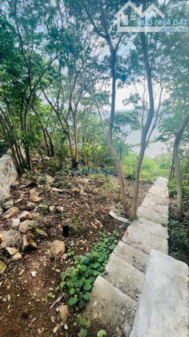 BÁN ĐẤT MẶT TIỀN BIỂN BÃI DÂU GIÁ TỐT