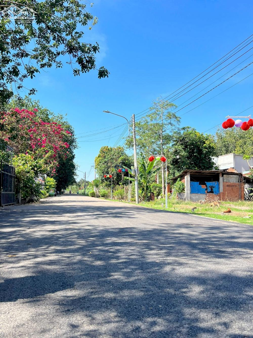 Bán lô đất ngay UBND Tân Long, mặt tiền nhựa tc 100 chỉ cần 250 triệu