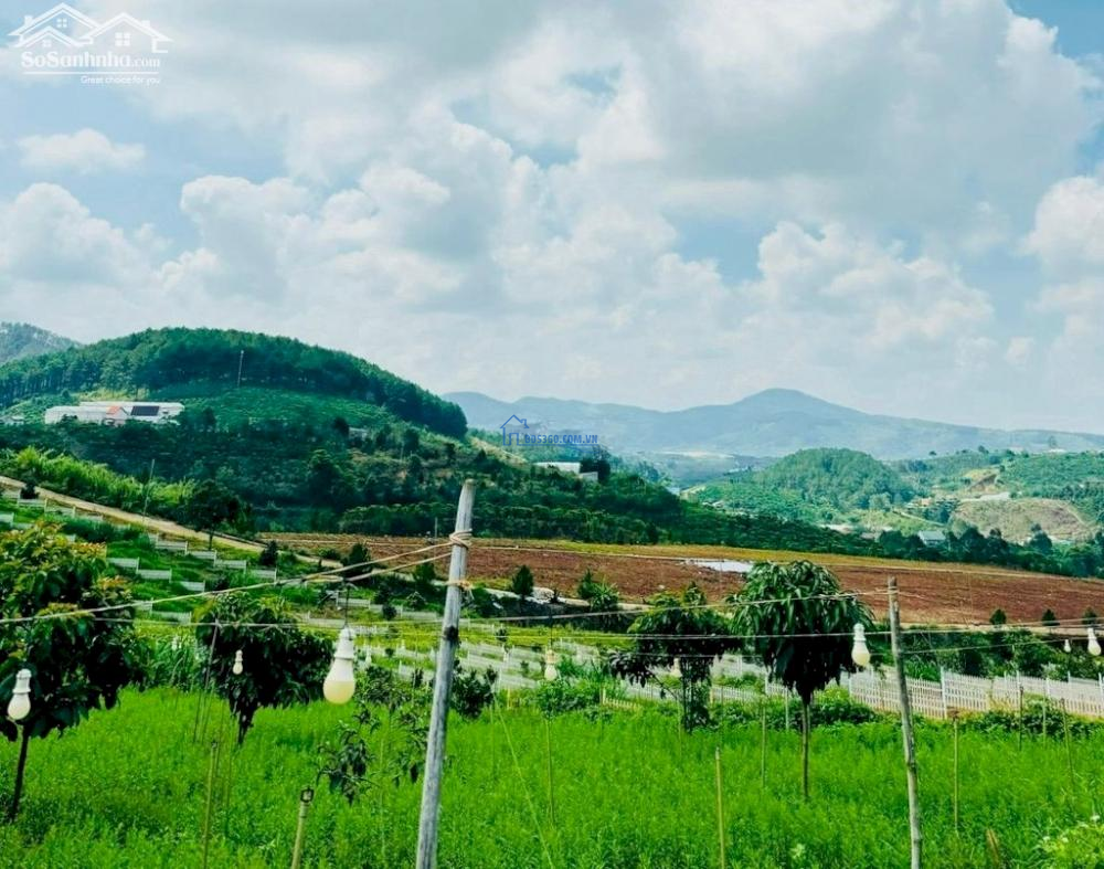 Mặt tiền kinh doanh sẵn thổ cư giá rẻ tại Nam Hà