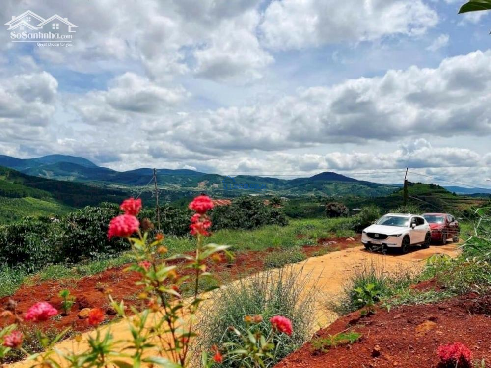 Thế đất cao view đẹp giá rẻ tại Nam Hà