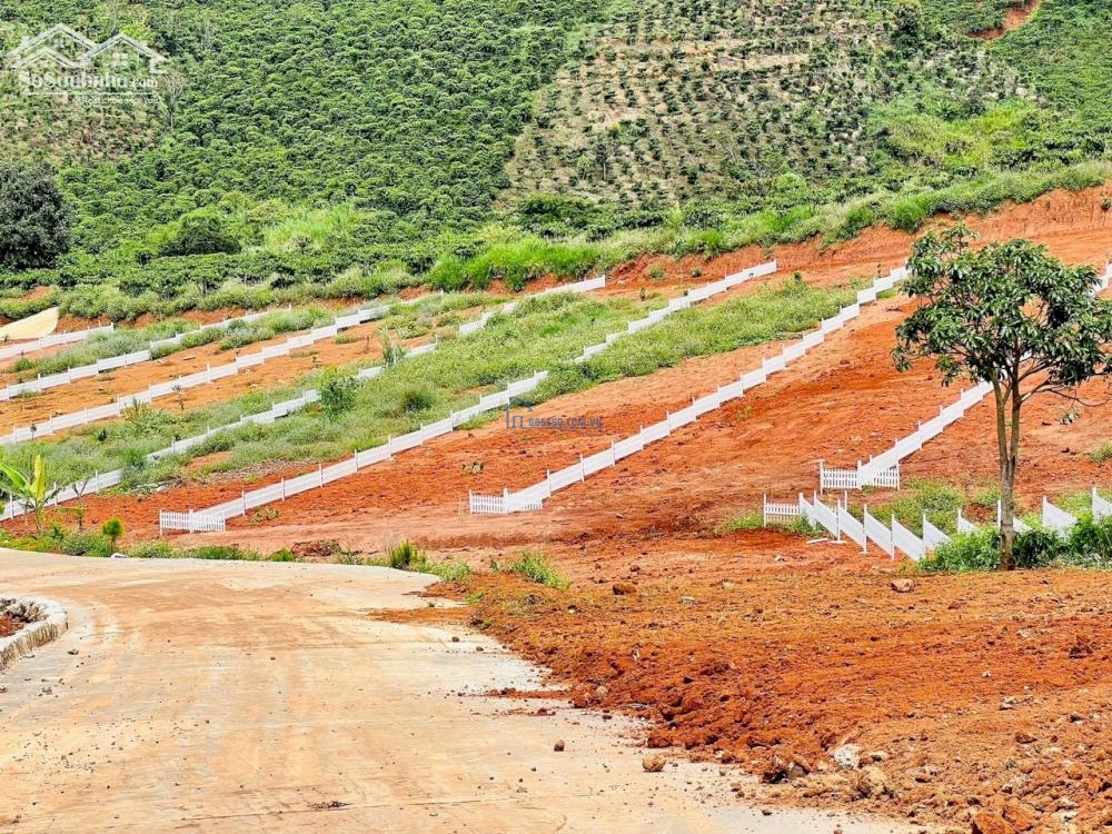 Lô đất ngộp view đẹp, mát mẻ giá rẻ bất ngờ tại Nam Hà Lâm Đồng