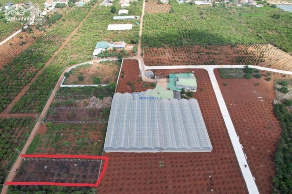 Chỉnh chủ gửi bán lô đất đẹp giá tốt tại Nam Hà Lâm Đồng