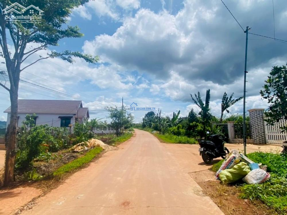 Với diện tích hơn 500m2, đất ven Đà Lạt có sẵn thổ cư giá tốt