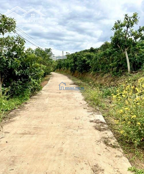 Lô đất view đẹp ngay mặt tiền phù hợp kinh doanh tại Nam Hà - Lâm Hà - Lâm Đồng