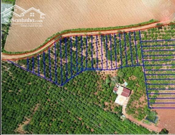 Lô đất sẵn thổ cư 150m2 giá rẻ view đẹp tại Nam Hà Lâm Đồng