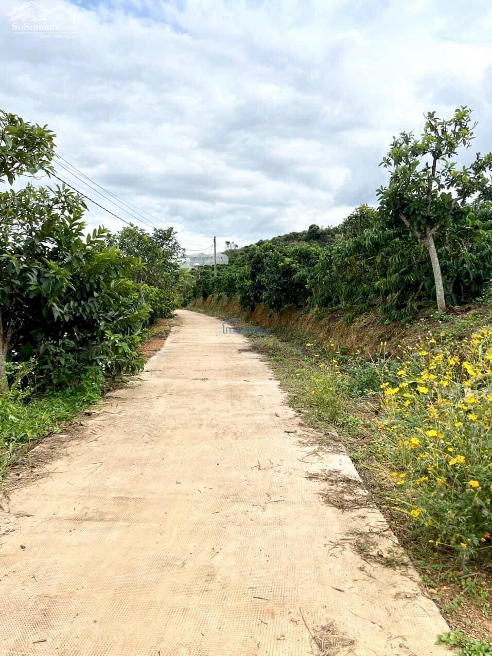 Bán đất sẵn thổ cư view đẹp thoáng mát tại Nam Hà Lâm Đồng