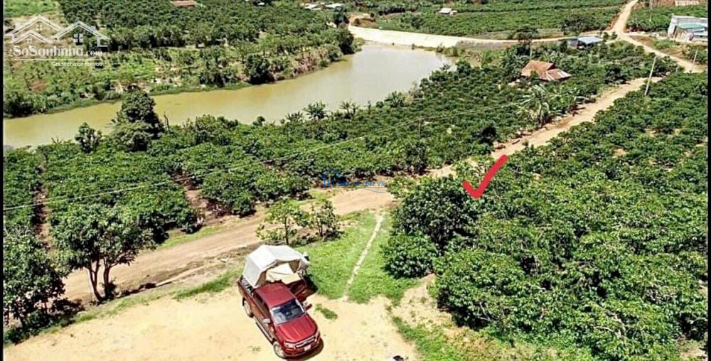 Bán đất sẵn thổ cư view đẹp thoáng mát tại Nam Hà Lâm Đồng