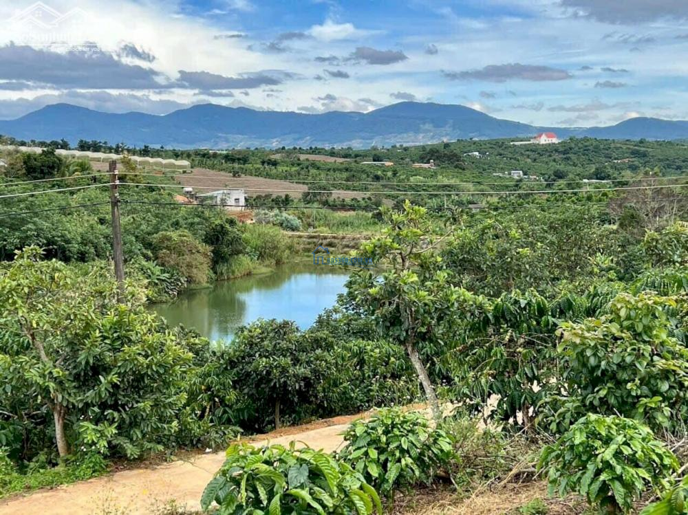 Bán đất sẵn thổ cư view đẹp thoáng mát tại Nam Hà Lâm Đồng