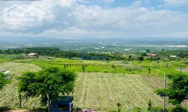 Chuyển nơi ở bán nhanh lô đất hơn 1000m2 sẵn thổ cư view đẹp tại Nam Hà