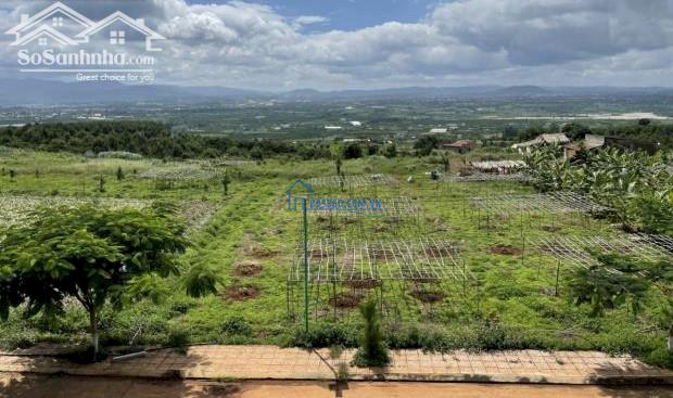 Chuyển nơi ở bán nhanh lô đất hơn 1000m2 sẵn thổ cư view đẹp tại Nam Hà