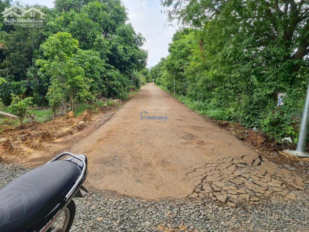 Bán lô đất đường đá mi đang lên nhựa xã Suối Nghệ, Châu Đức