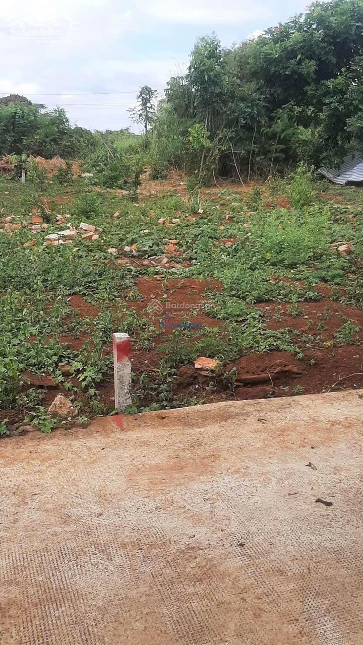 Bán lô đất đường bê tông sau UBND Suối Nghệ, Châu Đức Xã Suối Nghệ, Châu Đức, Bà Rịa Vũng Tàu