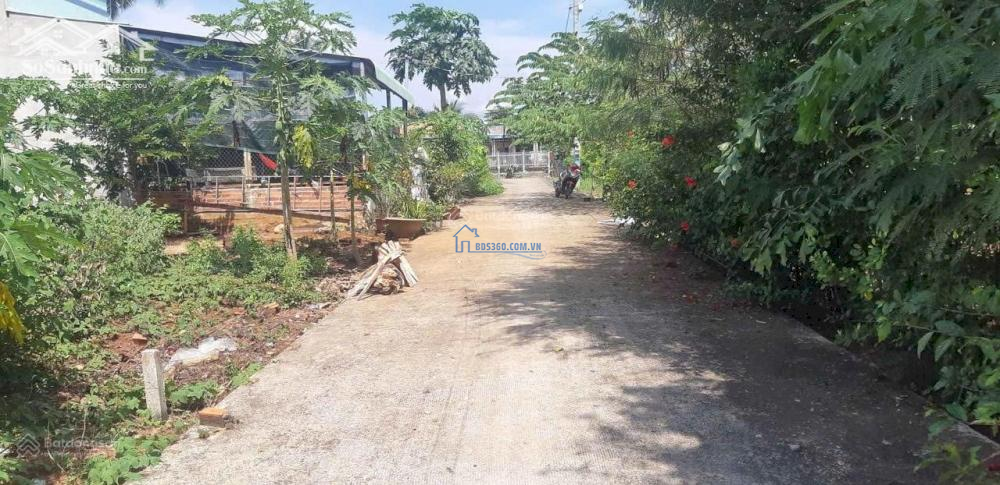 Ngộp cần ra nhanh lô đất tại trung tâm Suối Nghệ, Châu Đức, BRVT