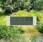 Đất 2 mặt tiền có thổ cư view suối xã Suối Rao - Châu Đức - BRVT