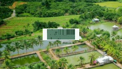 1 lô cực rẻ cạnh khu du lịch sinh thái Suối Giàu - Suối Rao - Châu Đức - BRVT