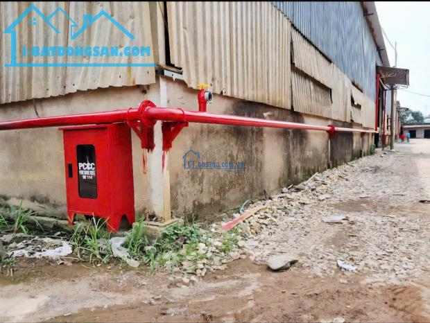 Cho thuê xưởng 11000m2 Cụm Khu công nghiệp Hố Nai 3 Đồng Nai có 320tr